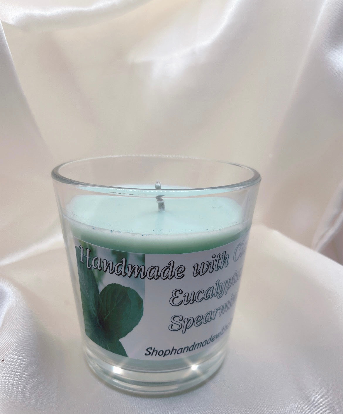 Eucalyptus Spearmint Candle